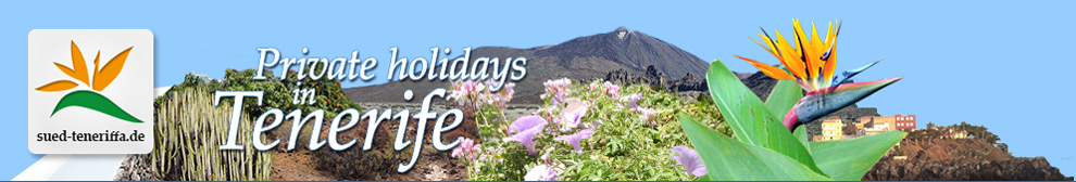 Welcome in the south of Tenerife, Canary Islands