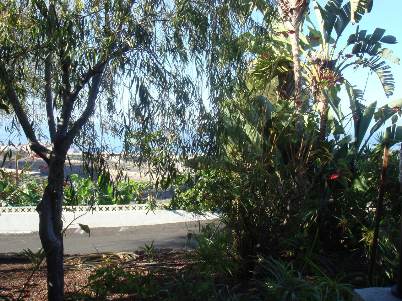 Terrasse mit Meerblick