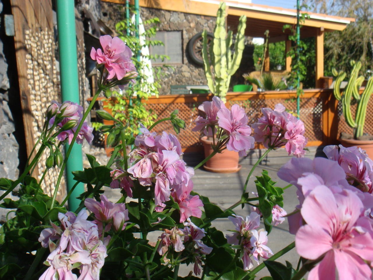 Terrasse8 Lodge mit Pergola