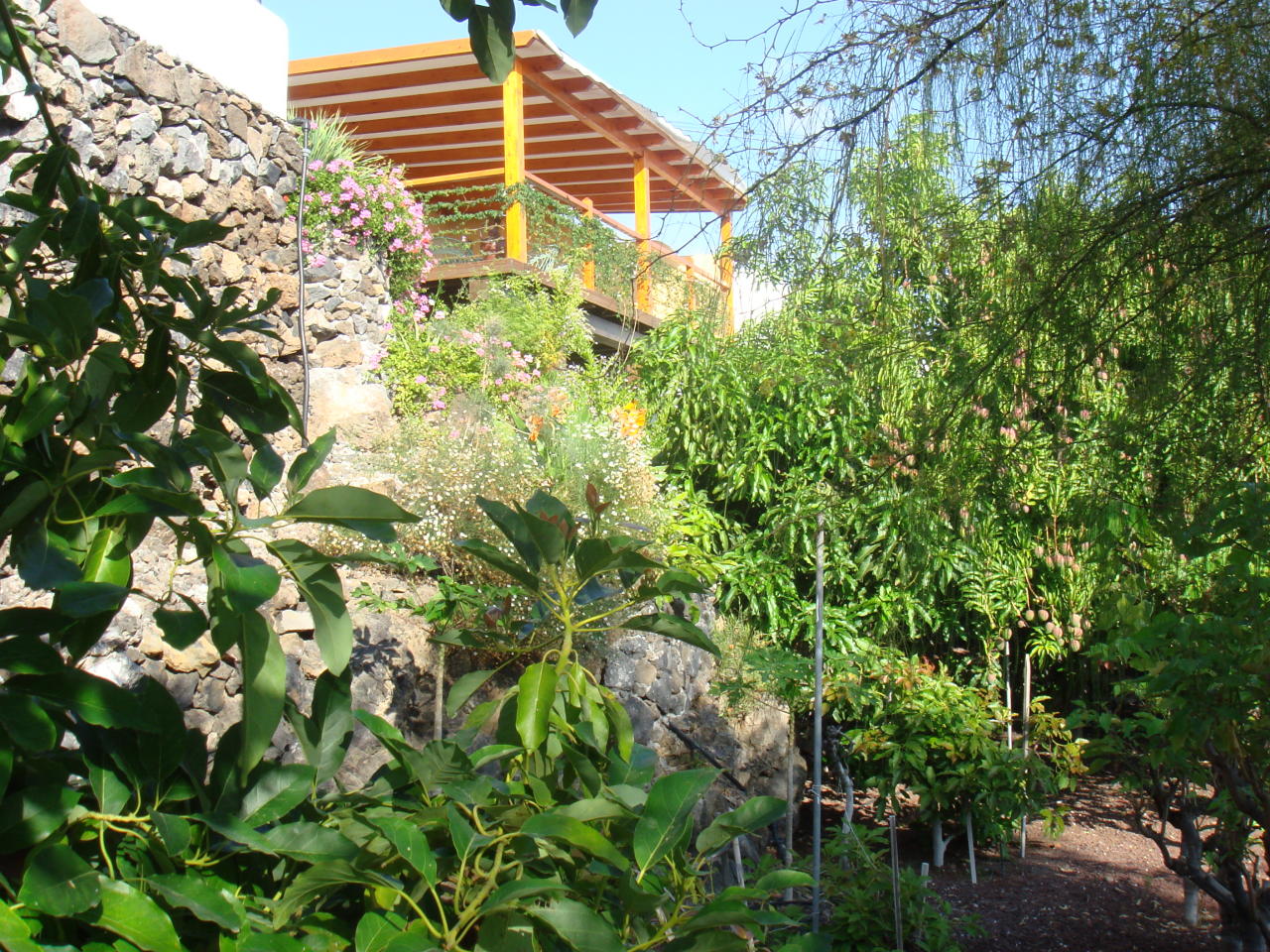 Teneriffa Finca Alcalá Terrasse