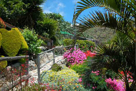 FInca Palo Alto Weg