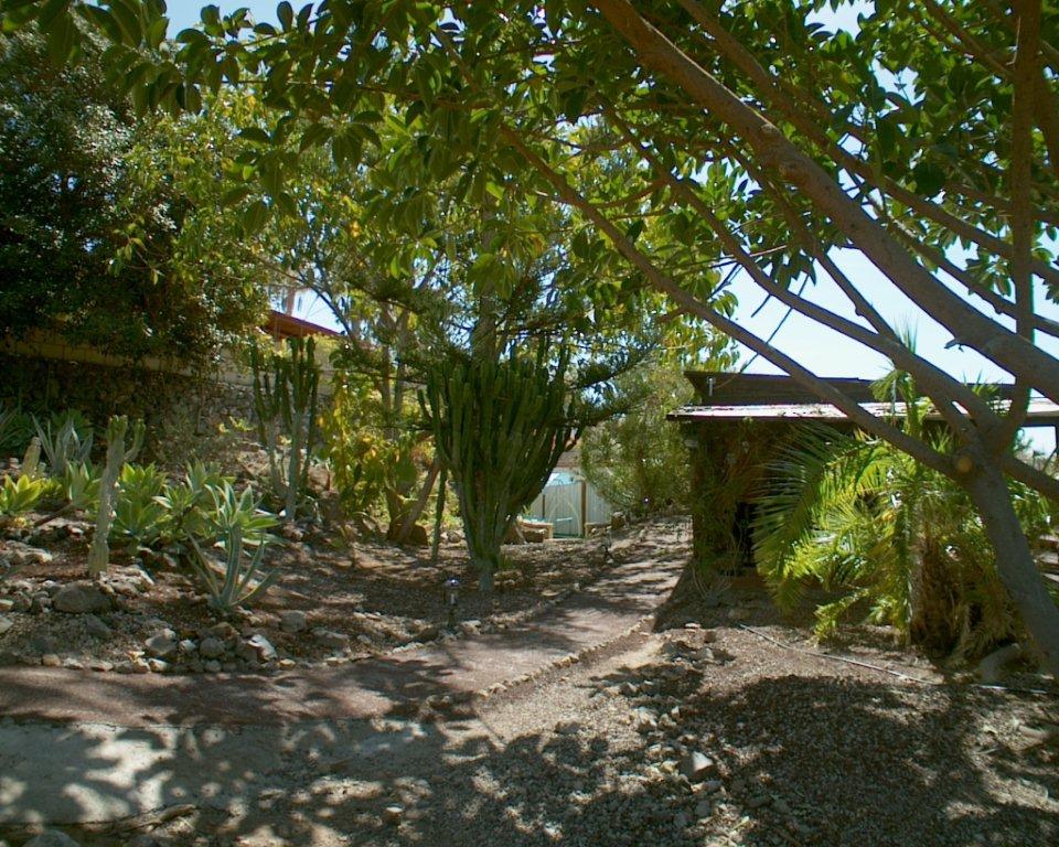 Casa Robinson, Finca San Juan, Teneriffa Süd, Robinson Garten 2
