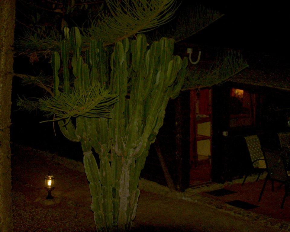 Casa Robinson, Finca San Juan, Teneriffa Süd, Robinson bei Nacht 5