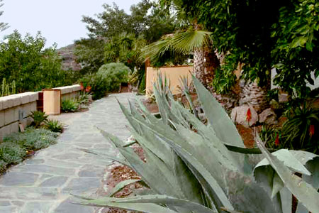Teneriffa Finca San Juan Tropischer Garten