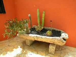 Teneriffa Finca Tropical Pflanztrog