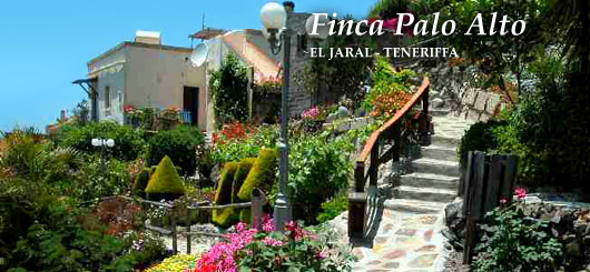 Idylle auf Finca Palo Alto, El Jaral, Teneriffa
