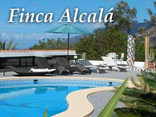 More pictures onFinca Alcala auf Teneriffa Tenerife: Ferienhaus Casa Flores, Finca Alcala