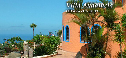 Ausblick Penthouse Chayofa, Teneriffa