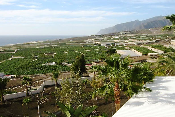 View of Los Gigantes from roof top terrace