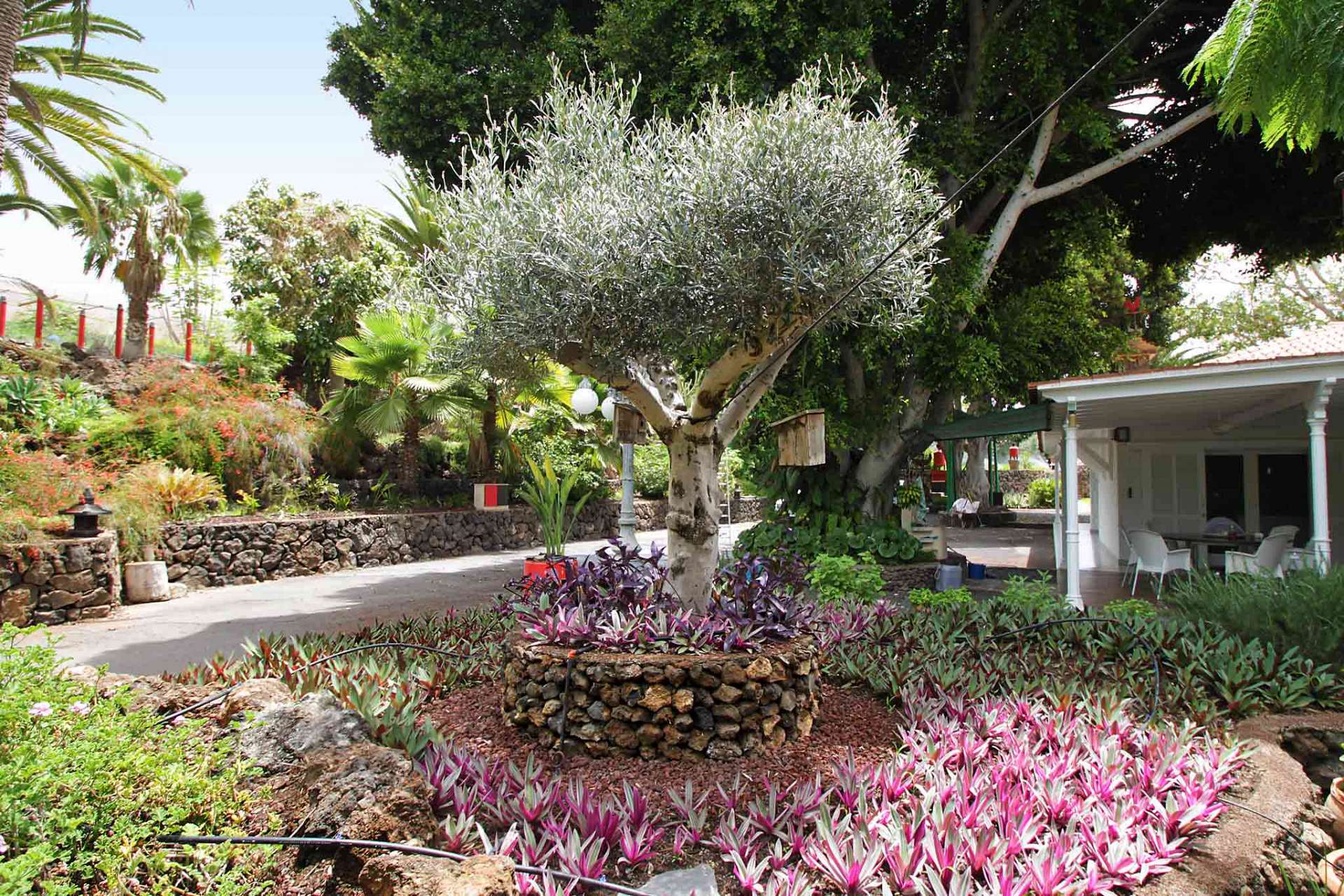 Finca Las Damas: Garten mit großer Diversität in der Flora