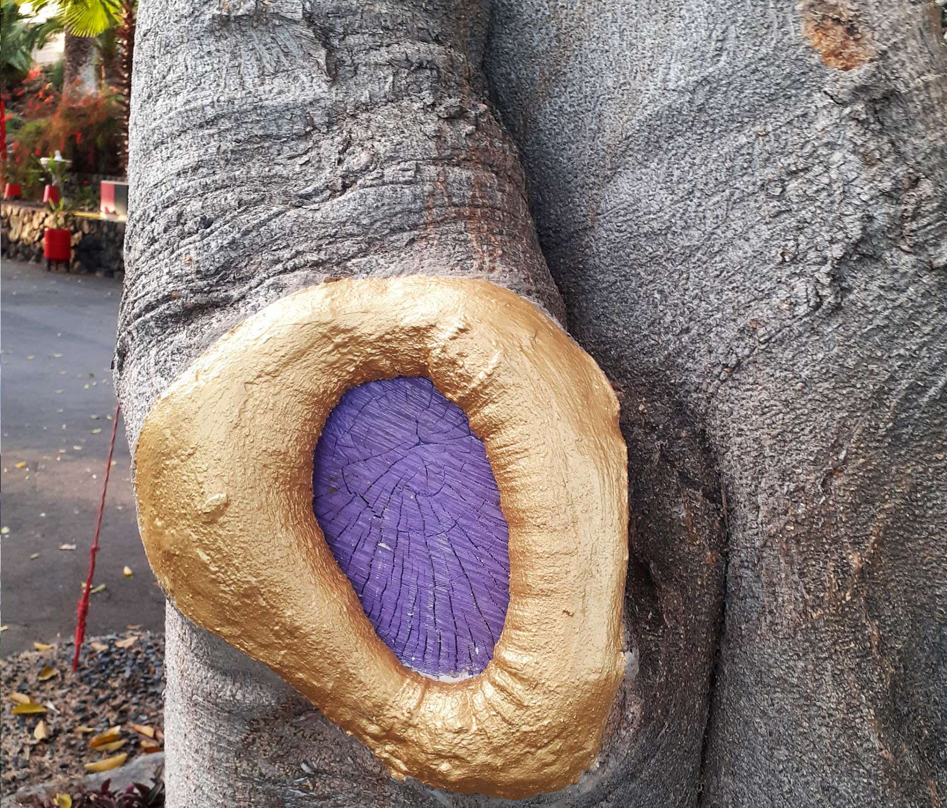 Finca Las Damas: Art in trees