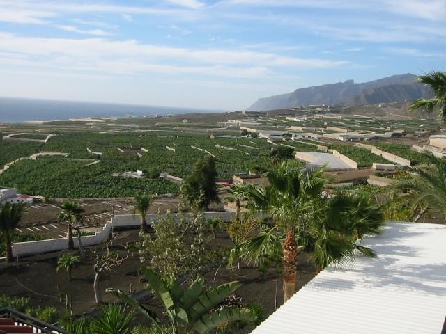  Finca Alcalá: Blick in Richtung Los Gigantes