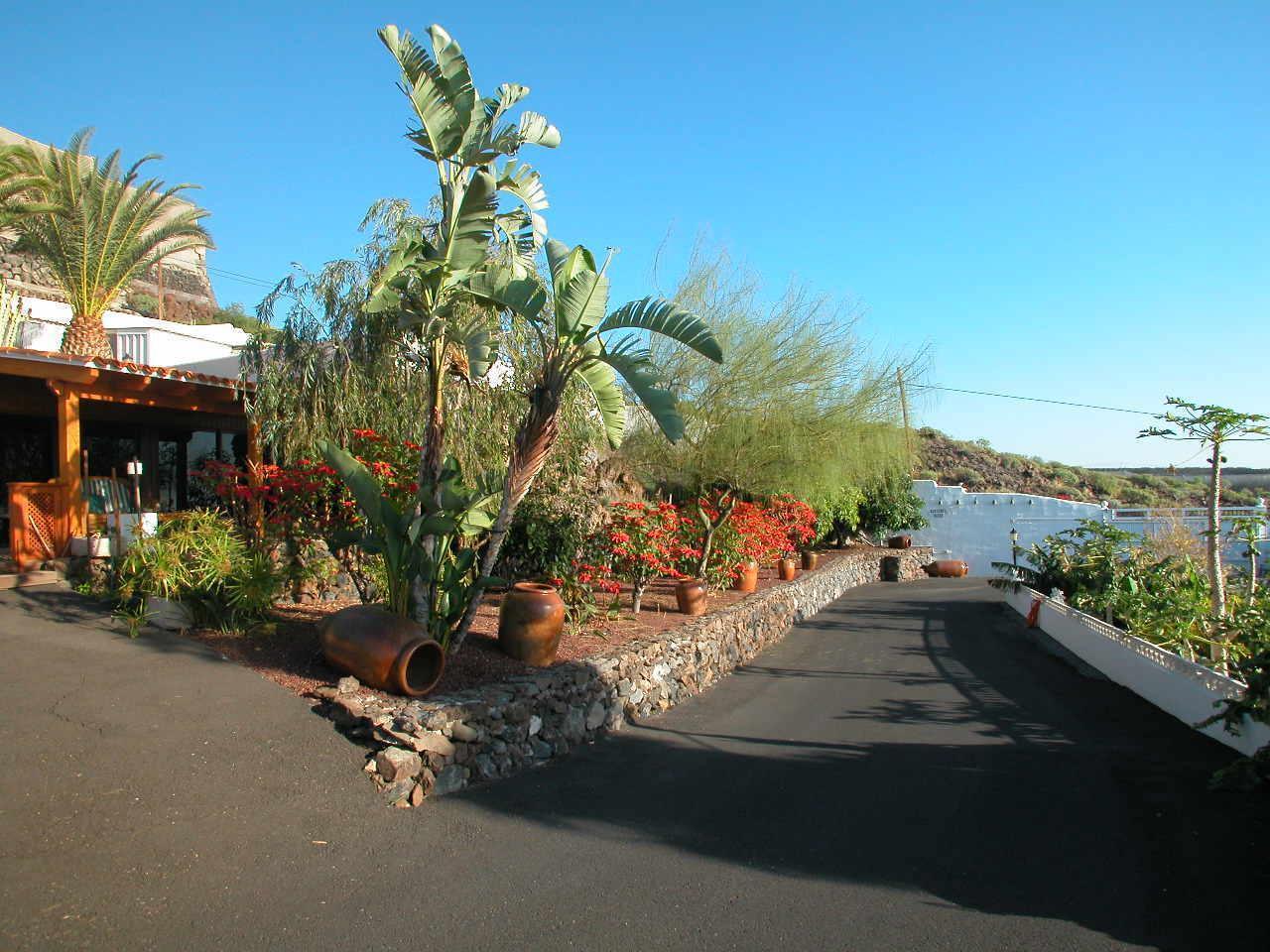  Finca Alcalá: Weihnachtssterne, Casa Lodge