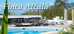 Pool der Finca Alcalá, Teneriffa